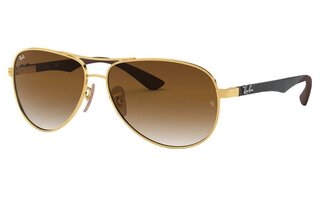 Lunettes de soleil RB8313