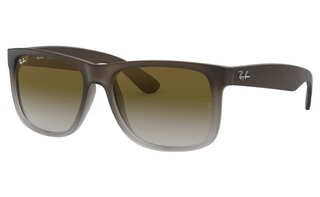 Lunettes de soleil RB4165