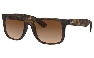 Lunettes de soleil RB4165
