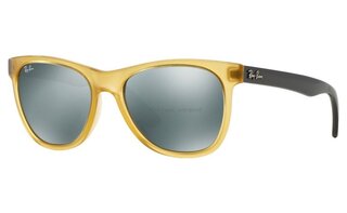 Lunettes de soleil RB4184