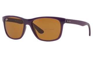 Lunettes de soleil RB4181