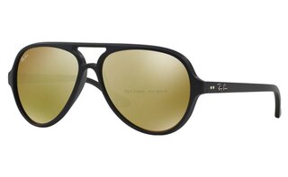 Lunettes de soleil RB4125-601S93