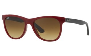 Lunettes de soleil RB4184