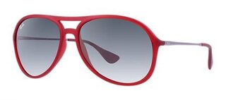 Lunettes de soleil RB4201