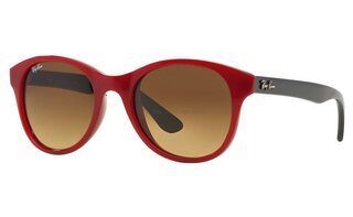 Lunettes de soleil RB4203