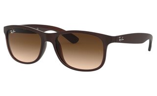 Lunettes de soleil RB4202