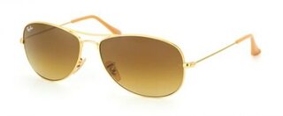 Lunettes de soleil RB3362