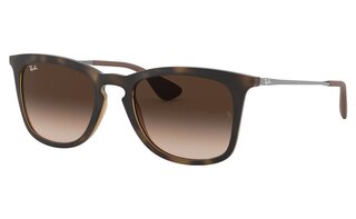 Lunettes de soleil RB4221