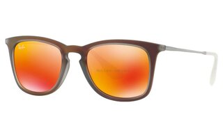 Lunettes de soleil RB4221