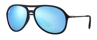 Lunettes de soleil RB4201