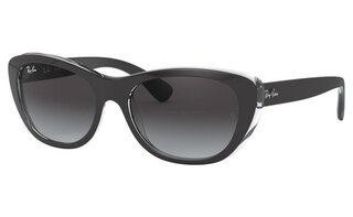 Lunettes de soleil RB4227