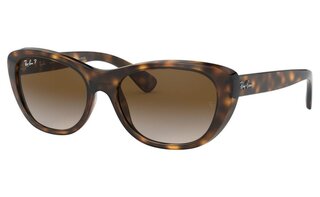 Lunettes de soleil RB4227