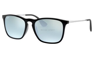 Lunettes de soleil RB4187