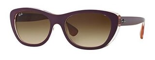 Lunettes de soleil RB4227