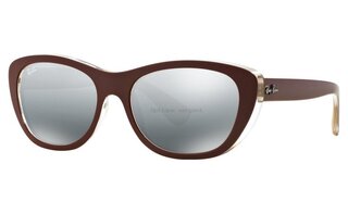 Lunettes de soleil RB4227