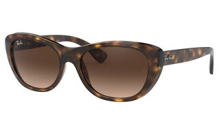 Lunettes de soleil RB4227