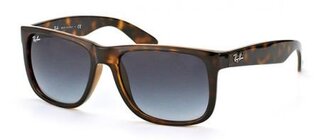 Lunettes de soleil RB4165