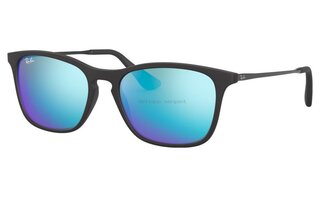 Lunettes de soleil RJ9061S
