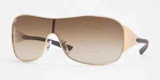 Lunettes de soleil RB3321