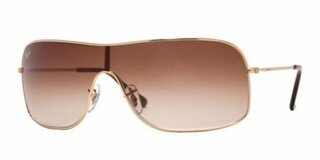 Lunettes de soleil RB3341