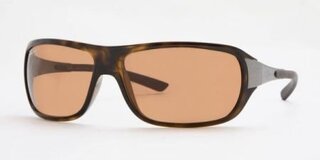 Lunettes de soleil RB4120