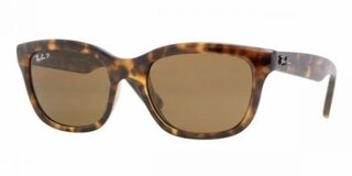 Lunettes de soleil RB4159