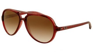 Lunettes de soleil RB4125