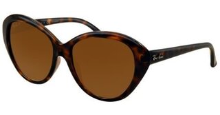 Lunettes de soleil RB4163