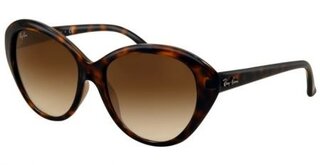 Lunettes de soleil RB4163