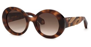 Lunettes de soleil SRC010M-02BV