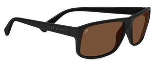 Lunettes de soleil Claudio