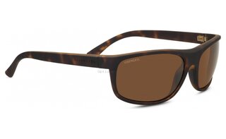 Lunettes de soleil Alessio