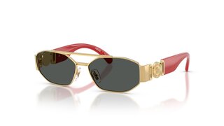 Lunettes de soleil VK2003-151287