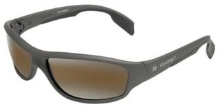 Lunettes de soleil VL 0113