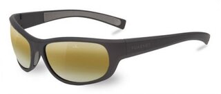 Lunettes de soleil VL1522