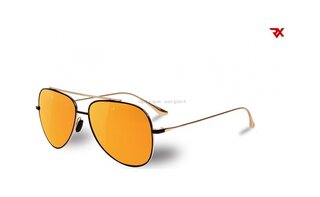 Lunettes de soleil VL1611