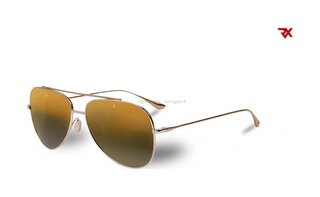 Lunettes de soleil VL1611