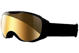 Masques ski snow Luna Zebra