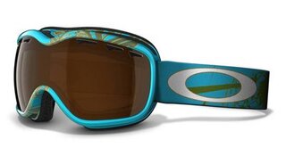 Masques ski snow Stockholm Gretchen Bleiler Signature