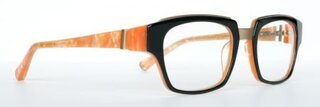 Lunettes de vue EJ011
