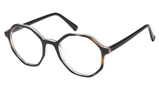 Lunettes de vue OP363-C1