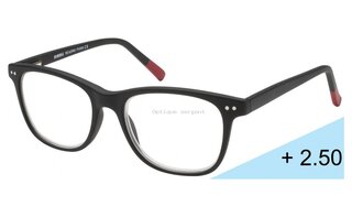 Lunettes de vue PA-250