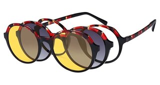 Lunettes de vue OCP541-C1