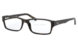 Lunettes de vue RX5169