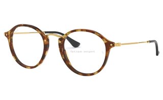 Lunettes de vue RX2447V