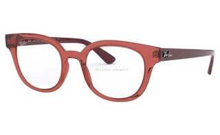 Lunettes de vue RX4324V