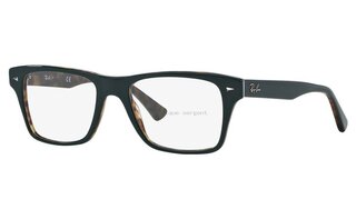 Lunettes de vue RX5308
