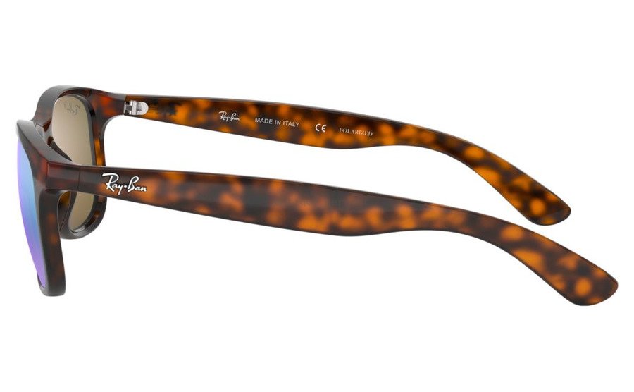 RB4202 RB4202