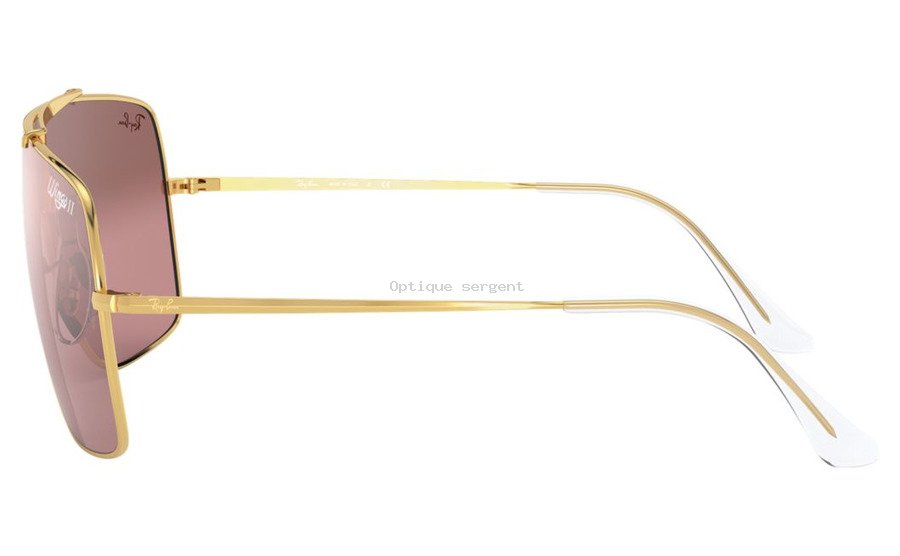 RB3697 RB3697