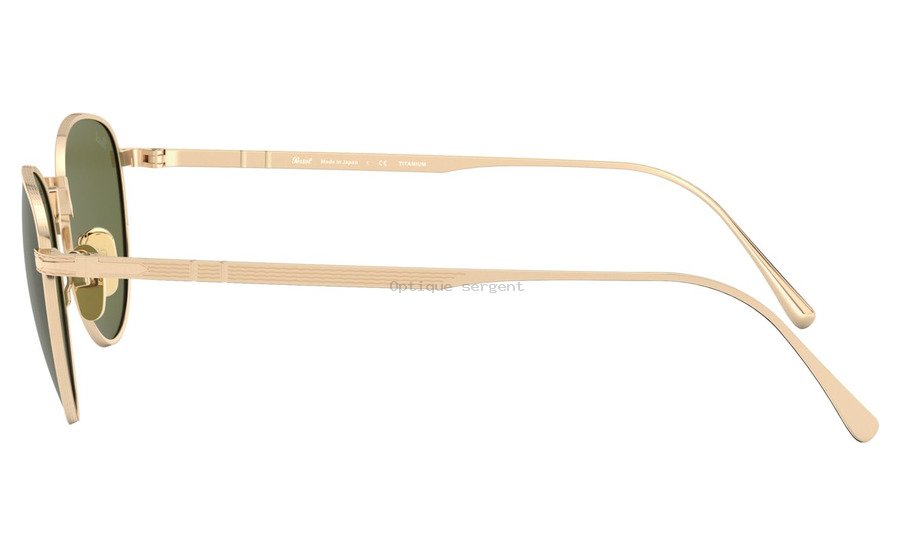 PO5002ST-80004E PO5002ST-80004E
